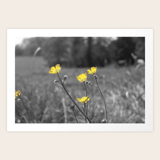 Summers Beauty Art Print