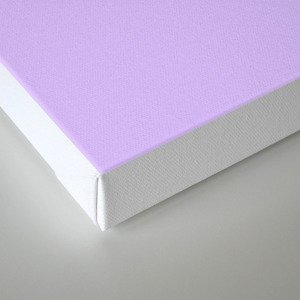 Lavender Canvas Print