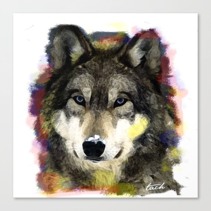 dirty wolf  Canvas Print
