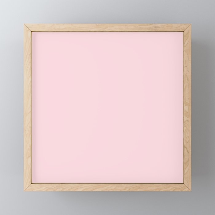 Fresh Pink Framed Mini Art Print