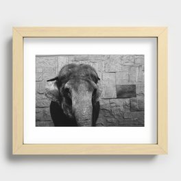 elephant consultation Recessed Framed Print