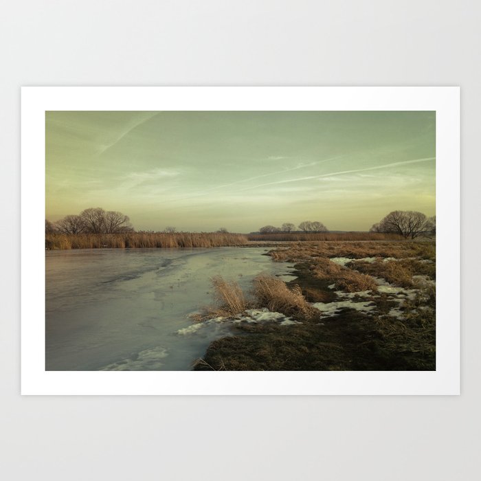 Frozen river and a little of grass Art Print