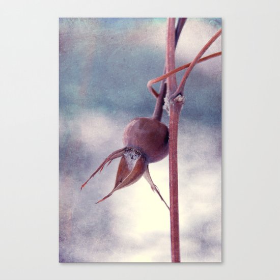 captured Canvas Print