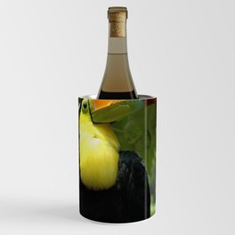 Mexico Photography - Beautiful Toucan On A Branch Wine Chiller