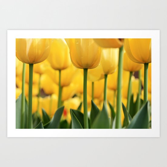 Tiptoed Art Print