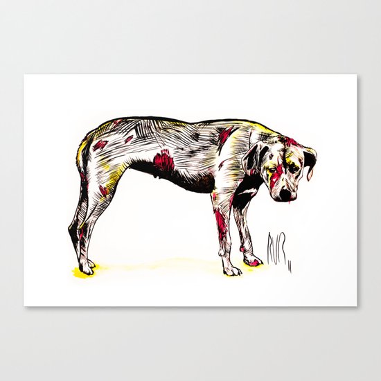 The sadness of streetdogs Canvas Print