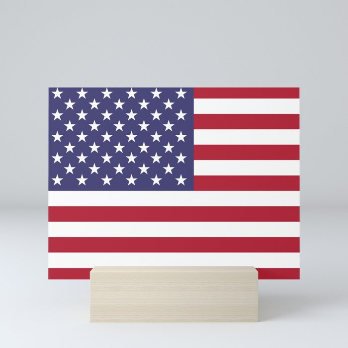 Flag of USA, 10:19 scale prints Mini Art Print