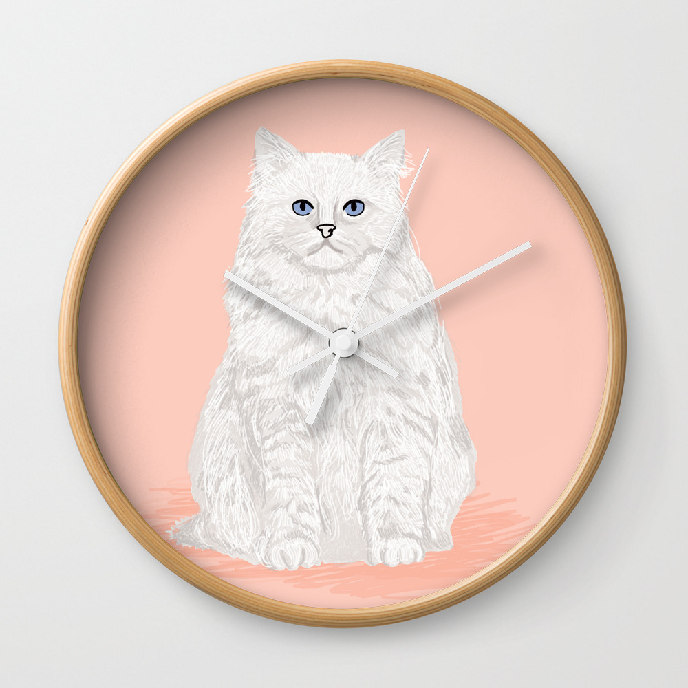 cat lady presents
