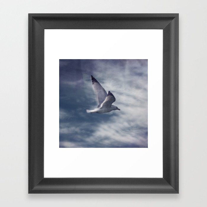 Jonathan Livingston Seagull Framed Art Print