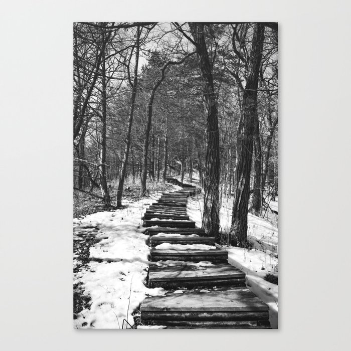 Forest Stairs Black and White Photography Canvas Print