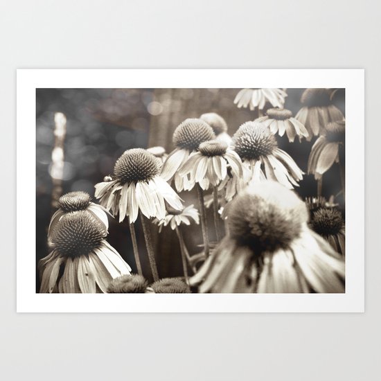 Midsummer Night's Dream Art Print