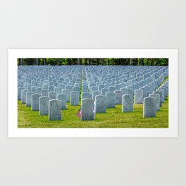 Georgia National Cemetery Art Print | Green, Landmark, Death, Cemetery, History, Graveyard, America, Army, Dead, Grave 