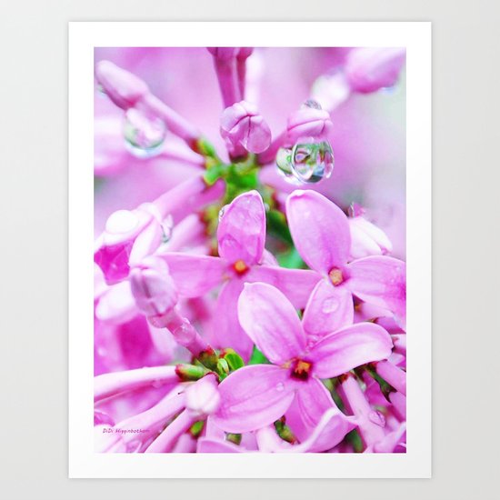 Pink Lilacs Art Print