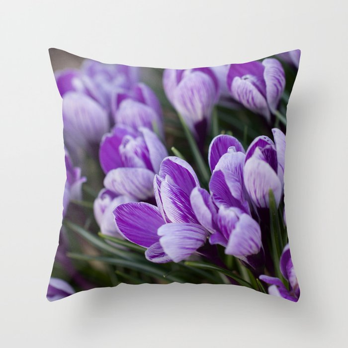 Crocus chrysanthus Throw Pillow