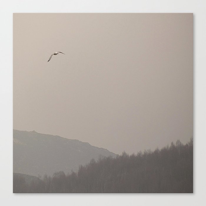 Misty Flight in the Scottish Highlands Canvas Print