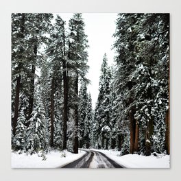 Winter Road #snow Canvas Print