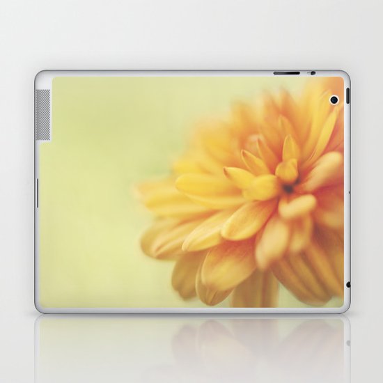 Dreamsicle Laptop & iPad Skin