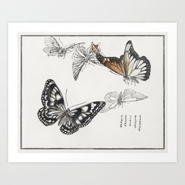 Butterflies (1910) by Morimoto Toko Art Print