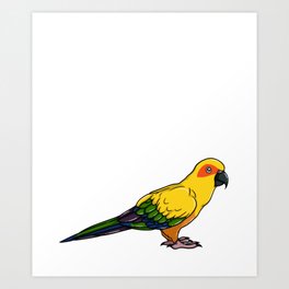 Sun Conure Bird Parakeet Cage Food Parrot Art Print