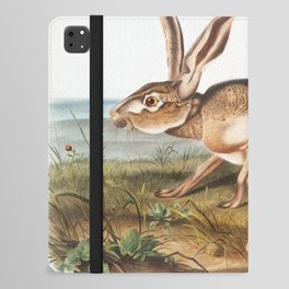 Texian Hare (Lepus Texianus) from the viviparous quadrupeds of North America (1845) illustrated by John Woodhouse Audubon iPad Folio Case