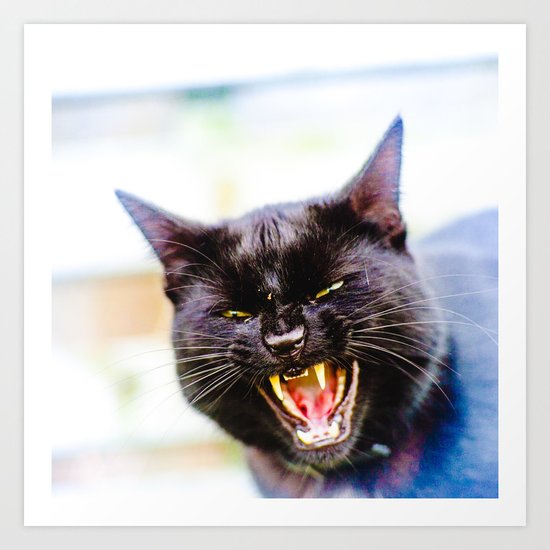 Angry black cat Art Print