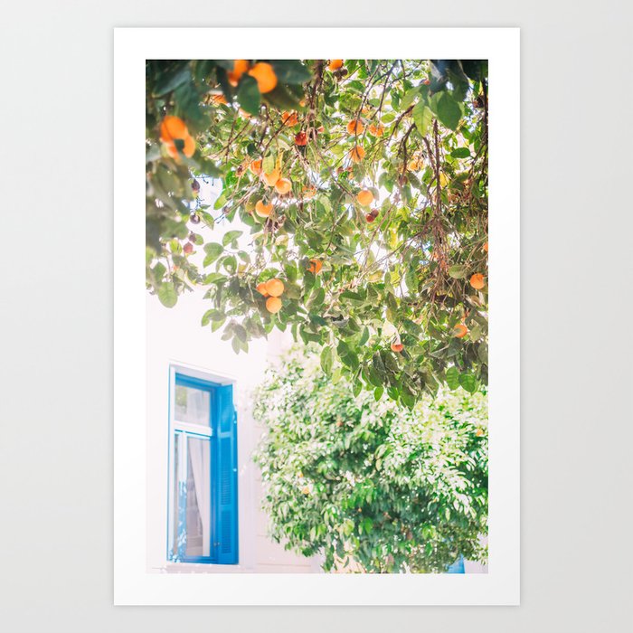 Orange Tree in Greece - Fine Art Travel Photography - Summer Vacation Vibes Art Print