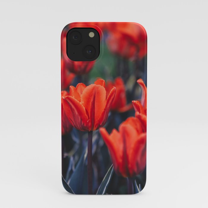 Flowers in the Park  iPhone Case