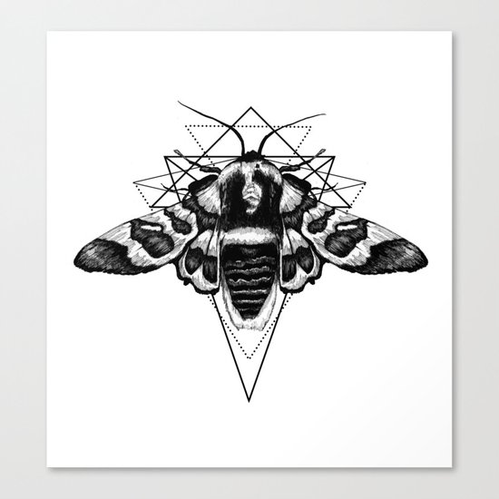 Geometric Moth Canvas Print