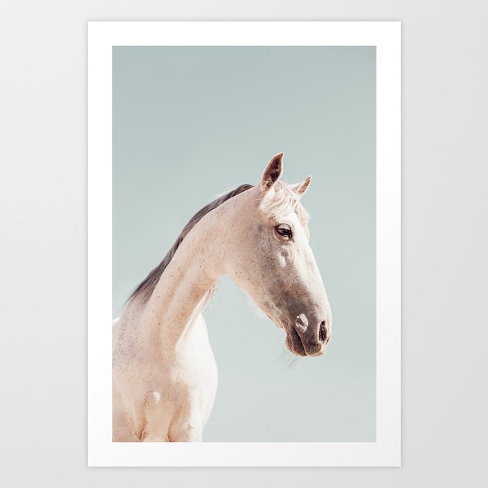 Pastel portrait of cute white foal Art Print