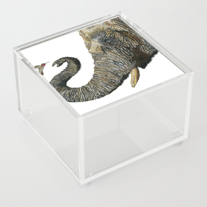 Elephant Cyril And Hummingbird Ayre 2 Acrylic Box