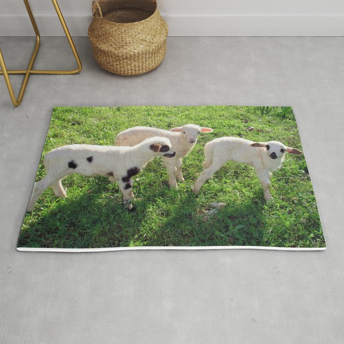 Three Cute Spring Lambs Rug by taiche Society6
