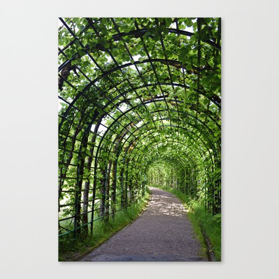 Walkway Canvas Print