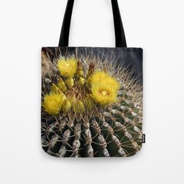 Mexico Photography - Beautiful Barrel Cactus Up-Close Tote Bag