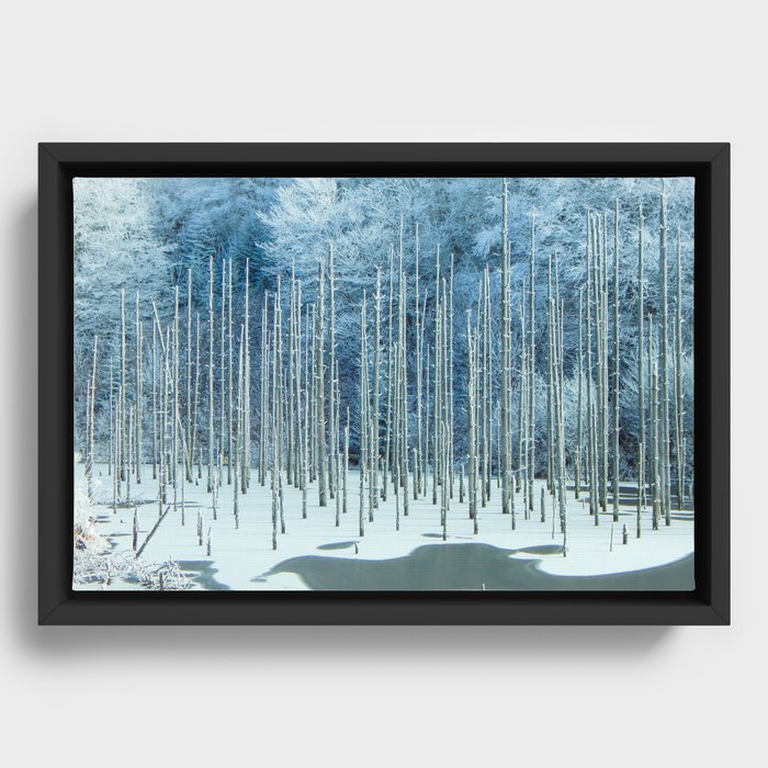 Frozen Pond Framed Canvas