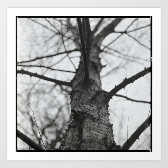 Tree Art Print