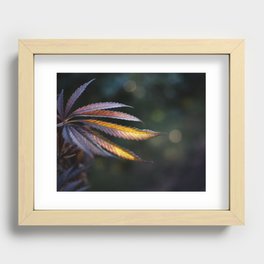 Purple and Gold Recessed Framed Print