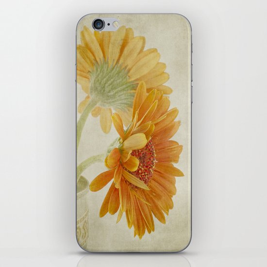 Gerbera iPhone & iPod Skin