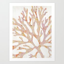 Marine corals Art Print