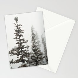 Evergreen Stationery Cards