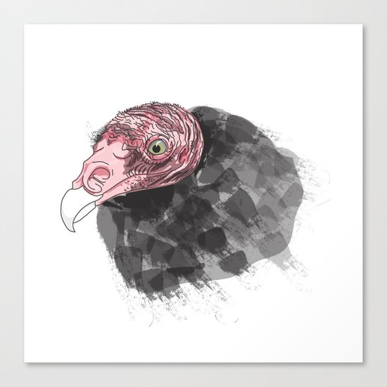 Vulture Canvas Print