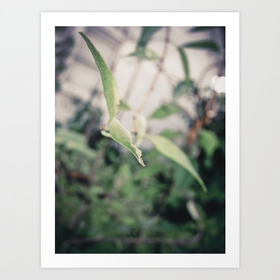 Reach Art Print