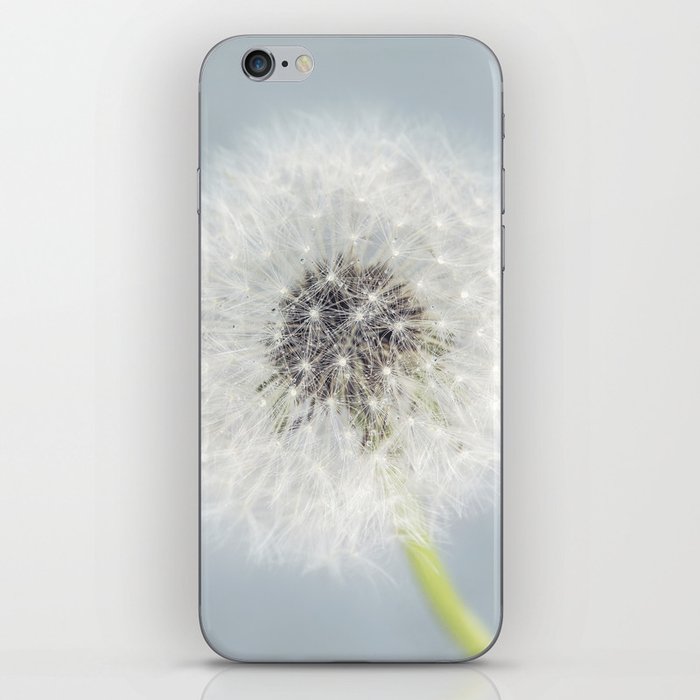 Dandelion on Blue iPhone Skin