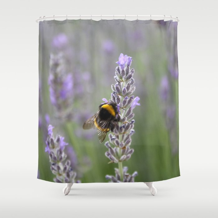 Bumblebee On Lavender Close Up Photograph Shower Curtain