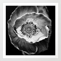 flower in black and white Art Print by mariannatankelevich | Society6