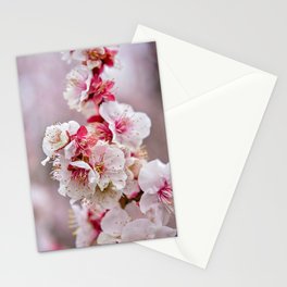 Blooming plum blossoms Stationery Cards