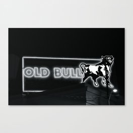 Old Bull Canvas Print