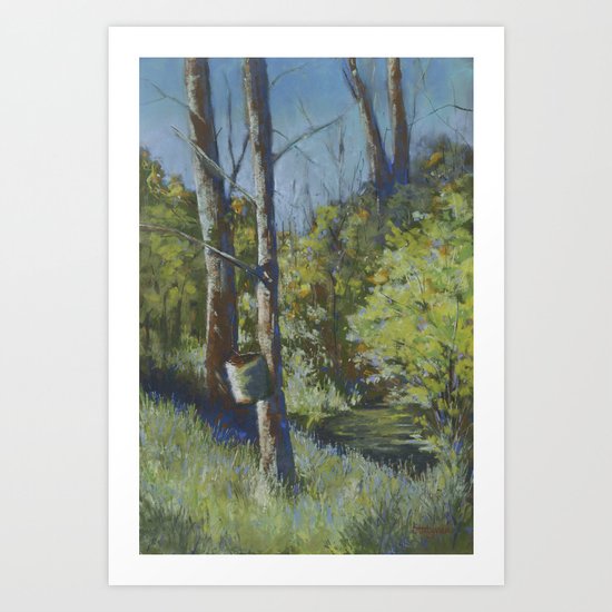 Rainwater Pail Art Print