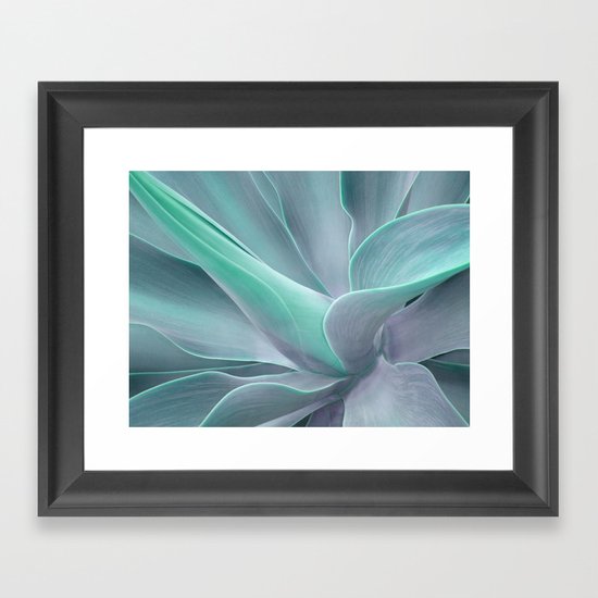 Blue Green Agave Attenuata Framed Art Print