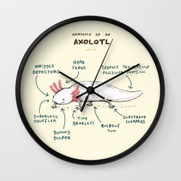 Anatomy of an Axolotl Wall Clock