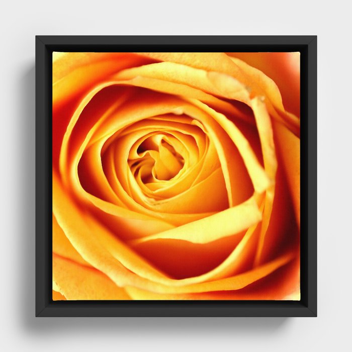 Framed Canvas